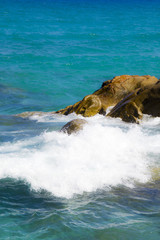 Scoglio