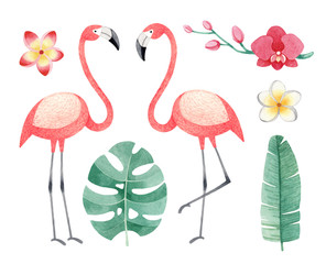 Watercolor illustrations of flamingos, tropical flowers and leaves