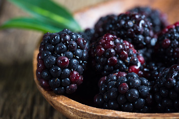 Blackberry Berries Macro
