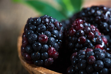 Blackberry Berries Macro