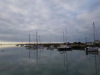 Fototapeta premium Au bord de l'eau
