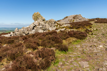 Shropshire landscape at the Stiperstones National Nature Reserve, England, UK