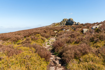 Shropshire landscape at the Stiperstones National Nature Reserve, England, UK