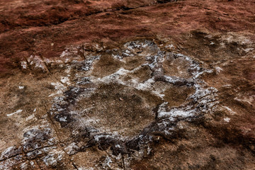 Dinosaur Footprints at Berry in Wales