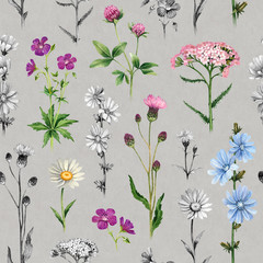 Watercolor illustrations of wild flowers. Seamless pattern