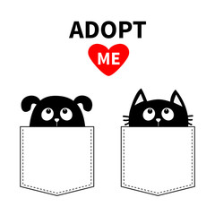 Adopt me. Dont buy. Dog Cat in pocket. Pet adoption. Puppy pooch kitty cat looking up to red heart. Flat design. Help homeless animal concept. White background. Isolated.