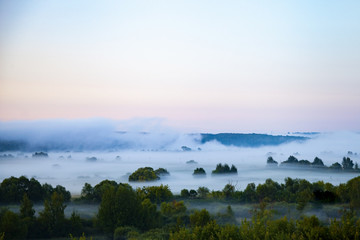 Fototapeta na wymiar Beautiful landscape with trees in the fog