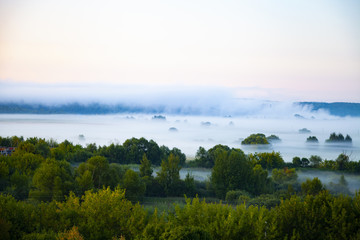 Beautiful landscape with trees in the fog