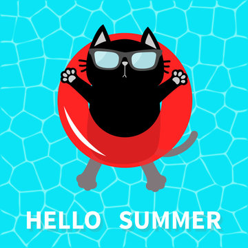 Hello Summer. Swimming pool water. Black cat floating on red pool float water circle. Top air view. Sunglasses. Lifebuoy. Cute cartoon relaxing character. Flat design.