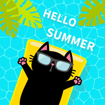 Swimming pool. Black cat floating on yellow pool float water mattress. Top air view. Sunglasses. Hello Summer. Lifebuoy. Palm tree leaf. Cute cartoon relaxing character. Flat design.