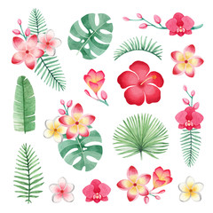 Watercolor illustrations of tropical flowers and leaves