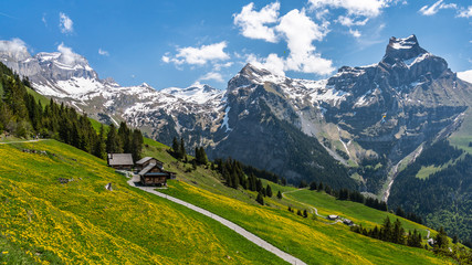 Fototapeta na wymiar Switzerland, Engelberg Alps panoramic view 
