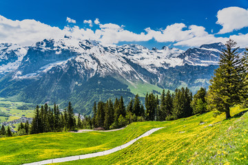 Fototapeta premium Switzerland, Engelberg Alps panoramic view 