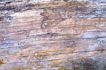 Dark old wood texture. Creative retro background. Stock Photo for design and wallpaper