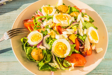 German food - vegetable salad with boiled egg on plate on rustic background