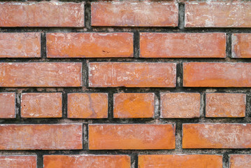 Obraz premium brick texture