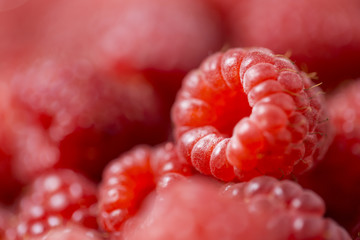 Close up view of fresh red ripe raspberries, nature vitamins