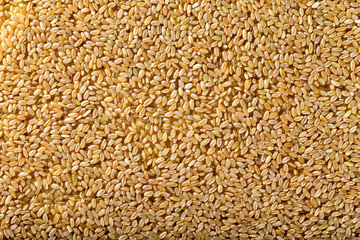 Macro image of brown uncoocked rice top view background. Healthy vegan food lifestyle.