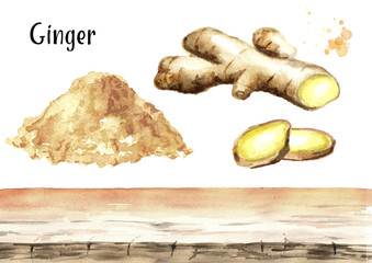 Ginger root background elements. Watercolor hand drawn illustration, isolated on white background