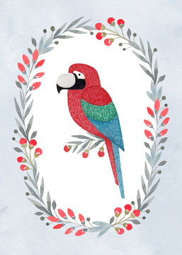 Watercolor illustrations of a parrot. Perfect for greeting cards