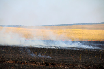 Obraz na płótnie Canvas Disastrous steppe fire