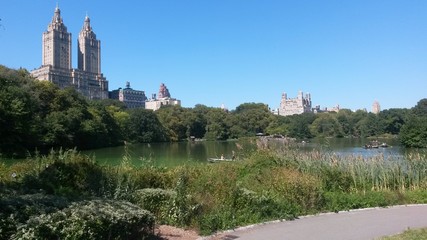 Fototapeta na wymiar New York City - Central Park 3