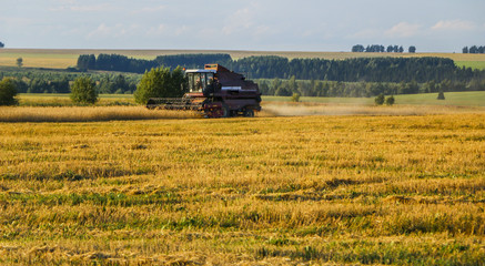 Naklejka premium Combine harvester. old combine harvester working on the wheat field Kombain collects on the wheat crop. Agricultural machinery in the field.