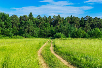 Fototapeta na wymiar dirt road in the field on a summer day