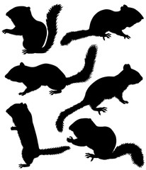 Collection of silhouettes of chipmunks