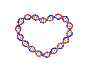 DNA strand in form of heart. Isolated on white background.