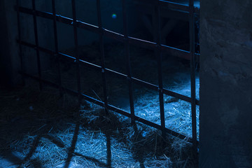 Old prison cell of ancient times. A metal lattice, straw on a floor, a wooden bed behind. Through...