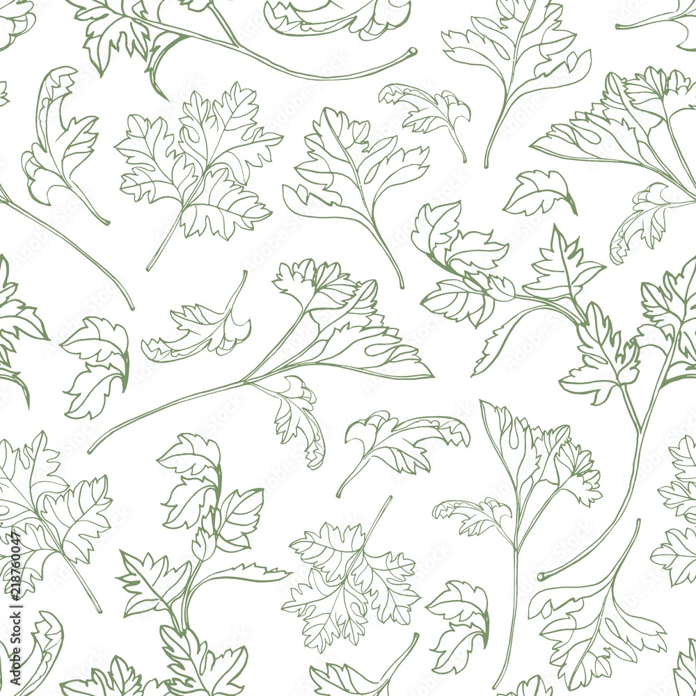 Poster natural seamless pattern with parsley leaves hand drawn with green contour lines on white background