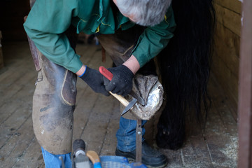 The blacksmith cleans the hooves of the horse with special tools. Close-up.