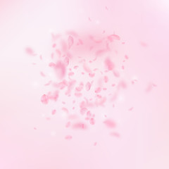 Sakura petals falling down. Romantic pink flowers explosion. Flying petals on pink square background