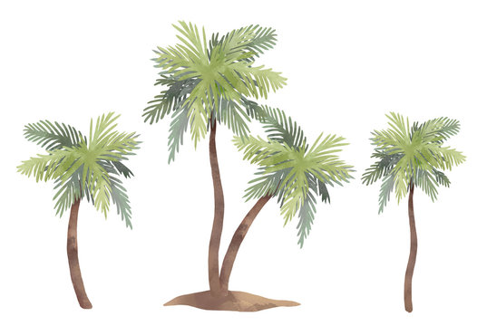 Watercolor palm tree set