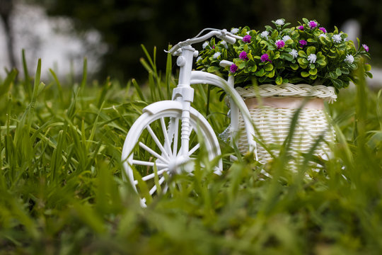 Model of the plastic bicycle