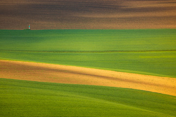 Moravian fields in spring
