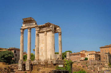 Ruins of the Roman Forum in Rome, Italy