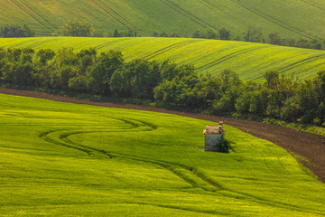 Moravian fields in spring