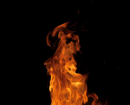 A fascinating photo of the flames made on a black background