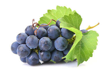 Grapes on a white background