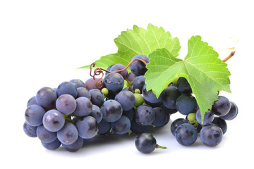 Grapes on a white background