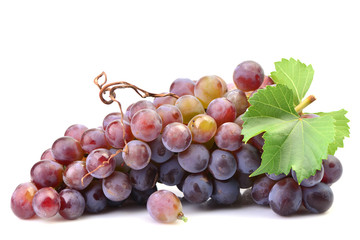 Grapes on a white background