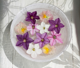 Flowers in a bowl of water