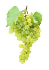 Grapes on a white background