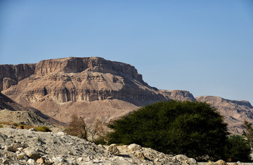 Fototapeta na wymiar The Negev Desert in Israel