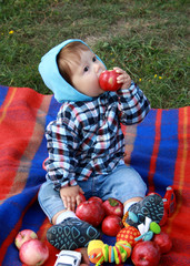 Fototapete bei efototapeten.de bestellen   