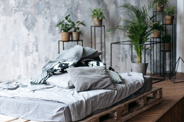 Bedroom with plants