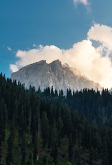 Scenic mountain and pine forest valley with white cloud and blue sky in Sonamarg, Jammu and Kashmir, India. Vertical composition
