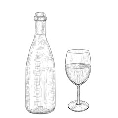 Botlle of wine with a glass. Hand drawn sketch
